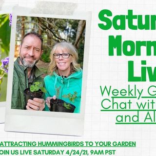 Saturday Morning LIVE Garden Chat - Attracting Hummingbirds - April 24th, 2021