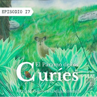 Ep. 17: El páramo de los curíes