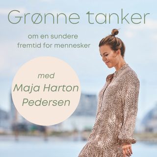 #6 Om hvorfor jeg aldrig mere får 12