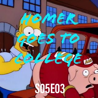 49) S0503 (Homer Goes to College)