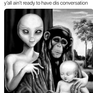 Could humanity be half alien half ape?