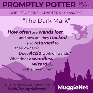 Episode 66: Hermione Doesn’t Lose Things