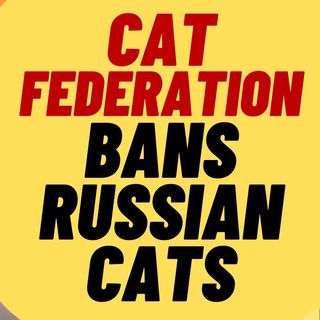 What? Russian Cats Banned By Cat Federation