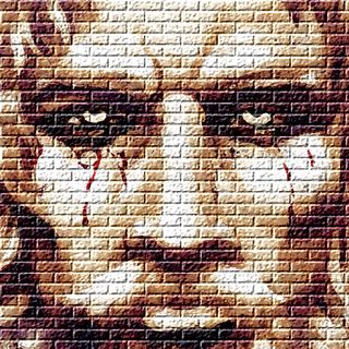 TSP155 - PH Factor: Walls of Bias - Blinding Truth