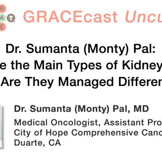 Dr. Sumanta (Monty) Pal: What Are the Main Types of Kidney Cancer and Are They Managed Differently?