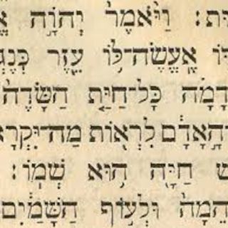 Does the Talmud criticize Jesus?