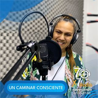 70x7 Radio
