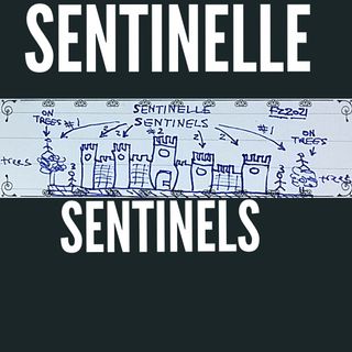 (English) What are the "Sentinels" of the past centuries called now?