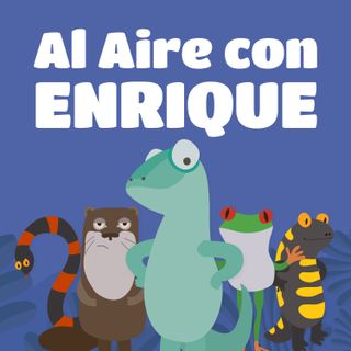 Trailer - Al Aire Con Enrique