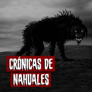 Crónicas de Nahuales | Historias reales de terror