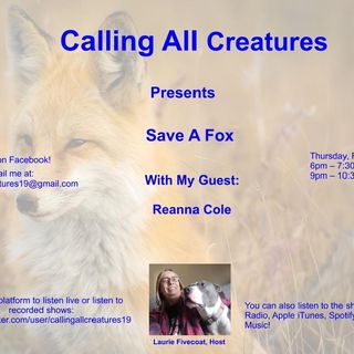 Calling All Creatures Presents Save A Fox