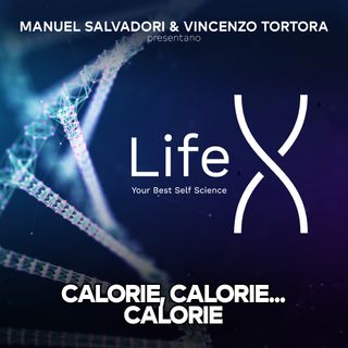 CALORIE, CALORIE, CALORIE  | LIFEX SHORTS 4