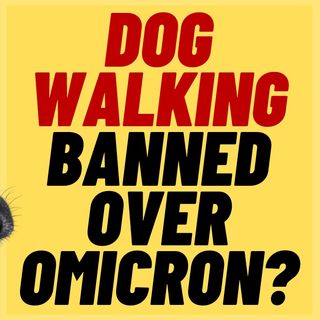 Insane Ban On Dog Walking In Quebec