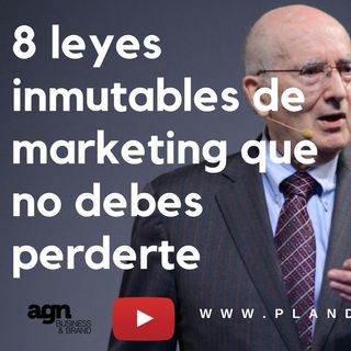 Conoce las 8 leyes inmutables de un buen marketing