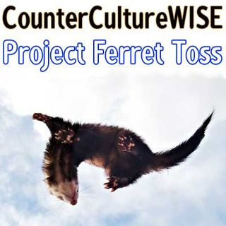 Project Ferret Toss