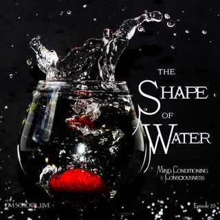 Episode 33 - The Shape of Water - Mind, Conditioning and Consciousness