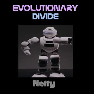 Evolutionary Divide Netty