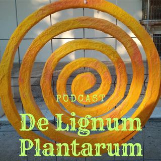 DE LIGNUM PLANTARUM_CAP_01