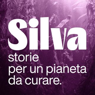 Research Corner – Silva - UniBo