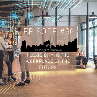 #66 Flexibility in the Workplace of the future