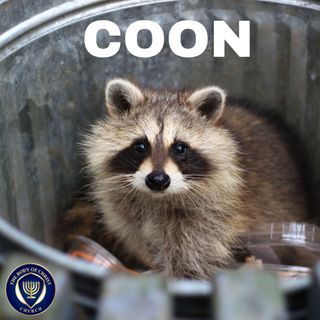 COON