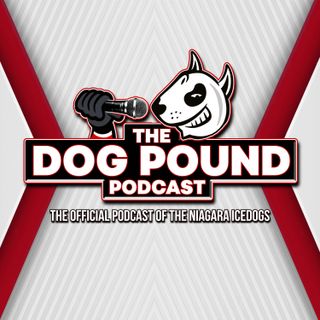 Niagara IceDogs 2022-23 Season Preview - Dog Pound Podcast