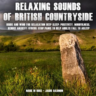 Relaxing Sounds of British Countryside