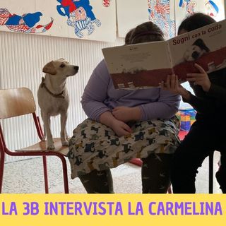 12.03.2022 - Intervista a 6zampe a Carmelina!