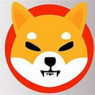 The Shiba Inu price presents an opportunity for long-term players