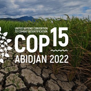 Africana: Iniziata la COP15 sulla desertificazione in Costa d'Avorio