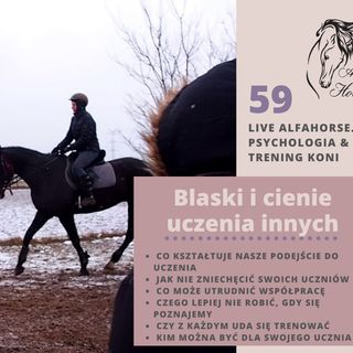 Live 59 Blaski i cienie uczenia innych pracy z koniem