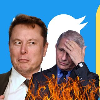 Elon Roasts Fauci And Pronouns In Tweet