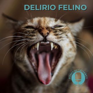 DISORDINATINFORMATI 2x21: Delirio Felino