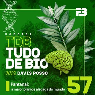 TDB Tudo de Bio 057 - Pantanal: a maior planície alagada do mundo