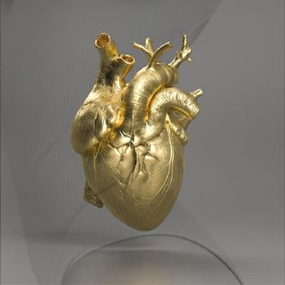 Episode 8: THE GOLDEN SUBJECT OF THE HEART!