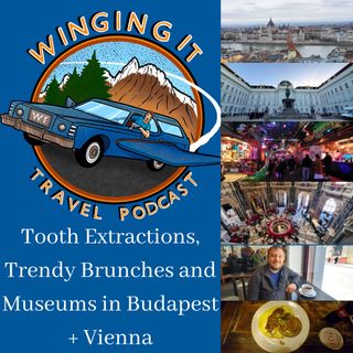 Tooth Extractions, Trendy Brunches and Museums in Budapest + Vienna