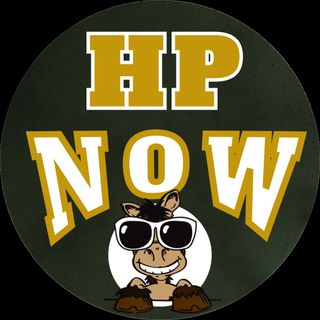 HorsePlayerNOW.com