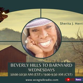 Life has you in a Rut? Who is Sherita Herring? Why Beverly Hills to Barnyard?
