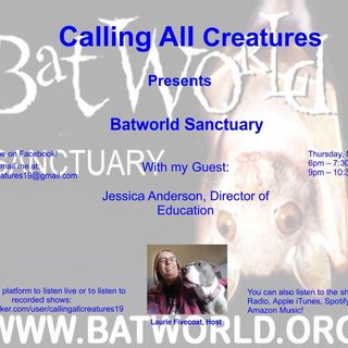 Calling All Creatures Presents Batworld Sanctuary