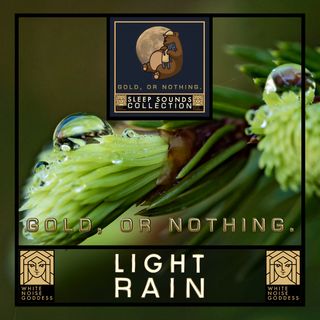 Light Rain Sound | Soothing Ambience