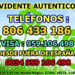 Vidente Tarotista Gratis