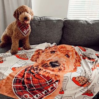 Searching for the Best Dog Blanket in Oklahoma?