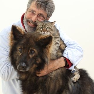 ConradoAnimalero