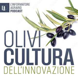 Le variazioni del clima cambiano la difesa dell'olivo
