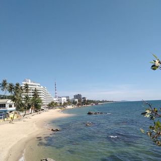 Hạnh Vũ