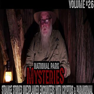 Volume 26: Strange Stories and Unexplained Encounters