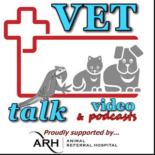 What Do Grief Counsellors Do?