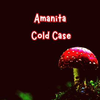 Amanita Cold Case