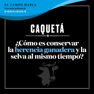 Caquetá: ¿Cómo es conservar la herencia ganadera y la selva al mismo tiempo
