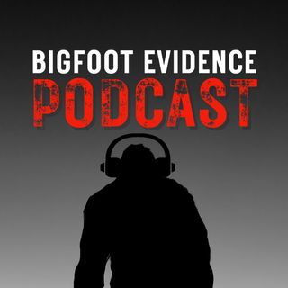 Bigfoot Evidence Podcast